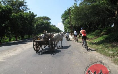 Hanoi Cycling To Hoi An – 7 Days
